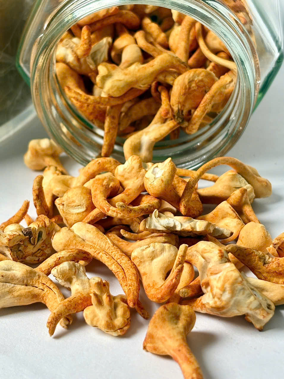 Mầm Đông Trùng Hạ Thảo bí quyết khơi dậy sức khỏe từ bên trong