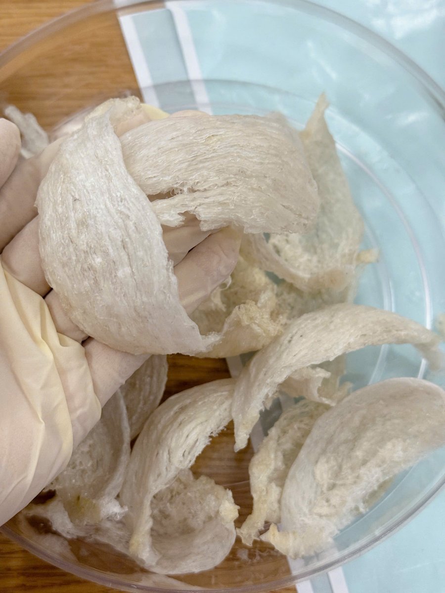 Hành trình lấy Yến Đảo – Nghề giữa trời và biển