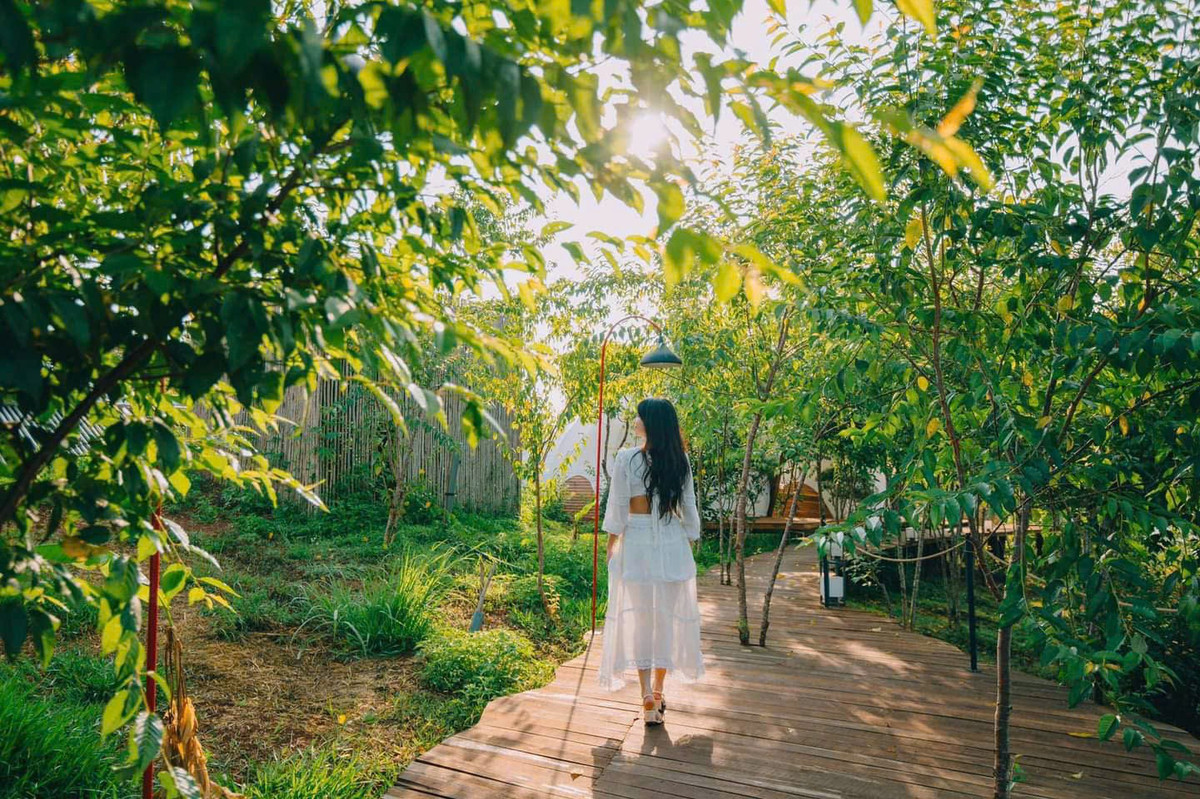 Vì sao ở gần thiên nhiên thấy dễ thở hơn?