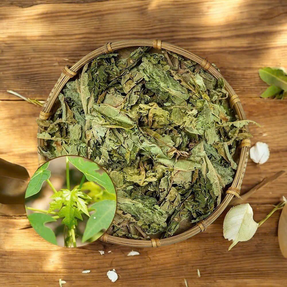 Lá Đu Đủ đực khô